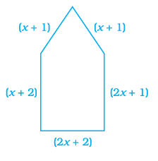Page 120 Chapter 4 Class 8th NCERT Exemplar